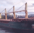 Судно международной контейнерной линии «NewNew Shipping Line» доставит удобрение  из Мурманска в порты ЮВА - Арктик-ТВ