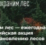 Более 400 тысяч сеянцев планируется высадить в Тверской области - Газета Вся Тверь