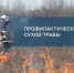 В Иркутске утвердили план осенних отжигов и покоса сухой травы - Weacom.Ru