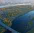 фото пресс-службы Краскома - НИА