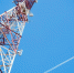 4G провели в оренбургский поселок, где разводили английских скакунов - Комсомольская Правда
