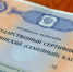 Порядка 2,6 тыс. вологодских семей получают ежемесячные выплаты из материнского капитала - Вологда.РФ