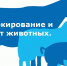 Порядок действий граждан для осуществления учета животных и птицы - Администрация г. Киселевск