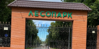 В Рязани состоятся общественные обсуждения проекта благоустройства Лесопарка - ИА Малая Родина