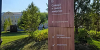 Омичка сама пришла в полицию после истории с гортензией из сквера «Сердце Омска» - Om1.Ru