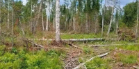 Красраб. Сибирский новостной портал - Газета Красноярский рабочий