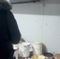 Завершено расследование по обвинению организованной группы в производстве контрафактной шоколадной продукции под видом известных торговых марок - Следственный комитет