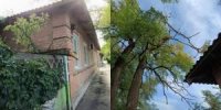 Огромная ветка упала во двор многоквартирного дома, сорвав провода - Azov.DonDay.Ru