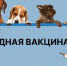 12 сентября(суббота) с 12.30 до 13.30 ч в вашем населённом пункте, у магазина Пятёрочка со стороны рынка, будет организовано выездное мероприятие «День бесплатной вакцинации». - Островский муниципальный район