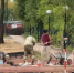Во Владимире обновляют три крупных общественных пространства - Progorod33.Ru