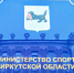 В Приангарье формируют перечень спортивных организаций для предоставления налогового вычета - Правительство Иркутской области