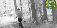 В Кулебакском лесничестве фотоловушка зафиксировала нарушение установленного запрета на посещение гражданами лесов - Министерство лесного хозяйства