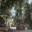Пост белой зависти жителям Красногорки 1 - Tvoy-Bor.Ru