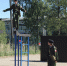 В Порхове открыли военно-спортивную полосу препятствий - Псковская правда