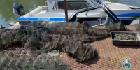 JPG Файл - УМВД Ростовской области