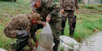 Кузбасское предприятие выпустило в Томь почти четыре тысячи мальков нельмы - Администрация области