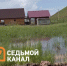 В Красноярске 68-летний пенсионер застрелил соседского той-терьера из-за громкого лая. Фото: 7 канал Красноярск - Седьмой канал