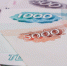 Стало известно, сколько россиян получают более 100 тыс. рублей в месяц - Kolyma.Ru