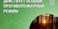 Внимание: высокий риск природных пожаров в Курганской области. - Катайский муниципальный округ