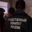Трое затолкали петербурженку в машину и держали в квартире Подмосковья - 47 новостей
