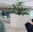 btfg5q9ilpkzf28ofsruv0ty0poqlzxs.jpeg - Primorye24.Ru