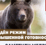 В Каратузском округе введён режим повышенной готовности. - Каратузский район