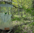 image - GazetaRB.Ru