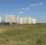 В Новознаменском покосили большой участок амброзии - Газета Кубань Сегодня