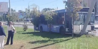 Водитель «отключился»: автобус с пассажирами в салоне врезался в дерево в Ростове - Панорама