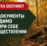 Памятка охотнику: какие документы необходимо иметь при себе? - Госохотдепартамент Тюменской области