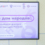 8 сентября – День языков народов Российской Федерации и Международный день грамотности - БГУ им. академика И.Г. Петровского