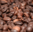 Фото: pixabay.com - Kgzt.Ru