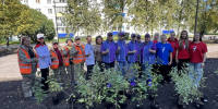 На Весенней в Киселевске высадили более ста кустарников - Городок
