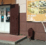 фото баннера на стене. - Губкинский городской округ