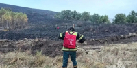 В Башкирии усилили борьбу с лесными пожарами - Сетевое издание Республика Башкортостан