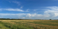 Фото Сергея Куликова - Tumentoday.Ru