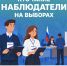 76 наблюдателей от «Единой России» будут работать на выборах в Ленинском округе - СМИ Видное