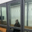 Жительница Самары отправится в колонию на десять с половиной лет за торговлю наркотиками - Волга Ньюс