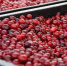 Более 70 вологодских предпринимателей представят продукцию на ярмарке «Дары осени» на Кремлёвской площади. - Администрация г. Вологда