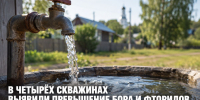 В четырёх скважинах на Калабинской территории выявили превышение бора и фторидов - Газета Задонская правда