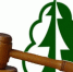 О проведении аукционов в электронном виде. - Афанасьевский муниципальный округ