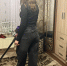 Кипячу лаврушку и лью на ковер: пятна исчезают на глазах, а ворс становится упругим и душистым — будто только из химчистки - PRO Город Владимир