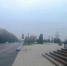 В Курском парке - ТК ТАКТ