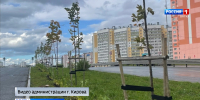 В Кирове начались осенние посадки деревьев и кустарников - ГТРК Вятка
