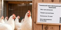 Официальные разъяснения - Администрация г.о. Жигулевск