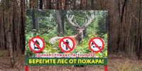 На территории Белгородской области сохраняется пятый класс пожарной опасности - Комсомольская Правда