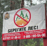 Фото предоставлено министерством природных ресурсов и ЛПК Архангельской области - Пресс-центр Правительства
