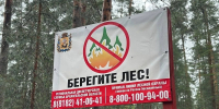 Фото предоставлено министерством природных ресурсов и ЛПК Архангельской области - Пресс-центр Правительства