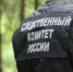 В Ивановской области перед судом предстанет местный житель, обвиняемый в убийстве супруги с особой жестокостью - Следственный комитет