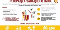 Волгоградская область выявила 25 случаев лихорадки Западного Нила - Volganet.Net